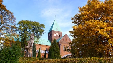 Uma igreja com um pináculo verde, cercada por árvores de folhas avermelhadas e um arbusto.