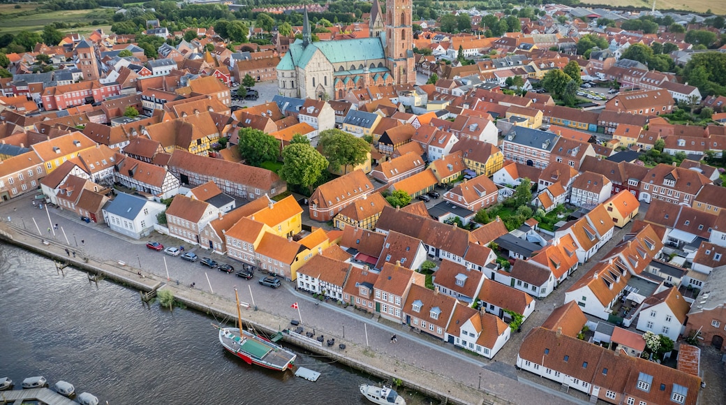 Aerial view of historic town Ribe with majestic Ribe cathedral, red-roofed buildings and boats docked along the riverside, set against lush, green landscape, south-west Jutland, Denmark.
