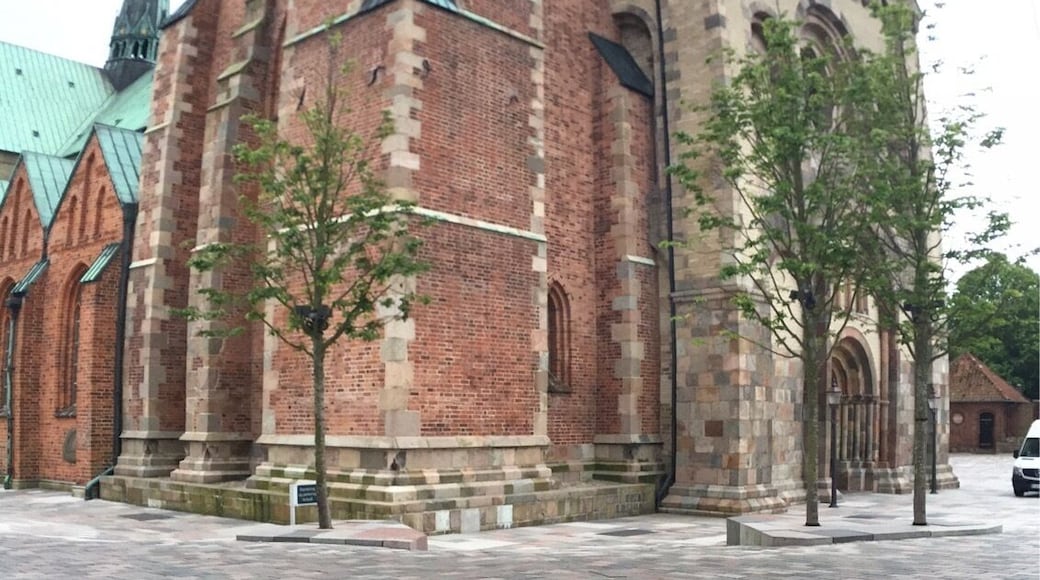 Small cathedral. In Ribe. The oldest town in Denmark. Lovely place to visit.