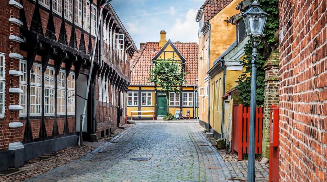 Street with old houses from royal town Ribe in Denmark