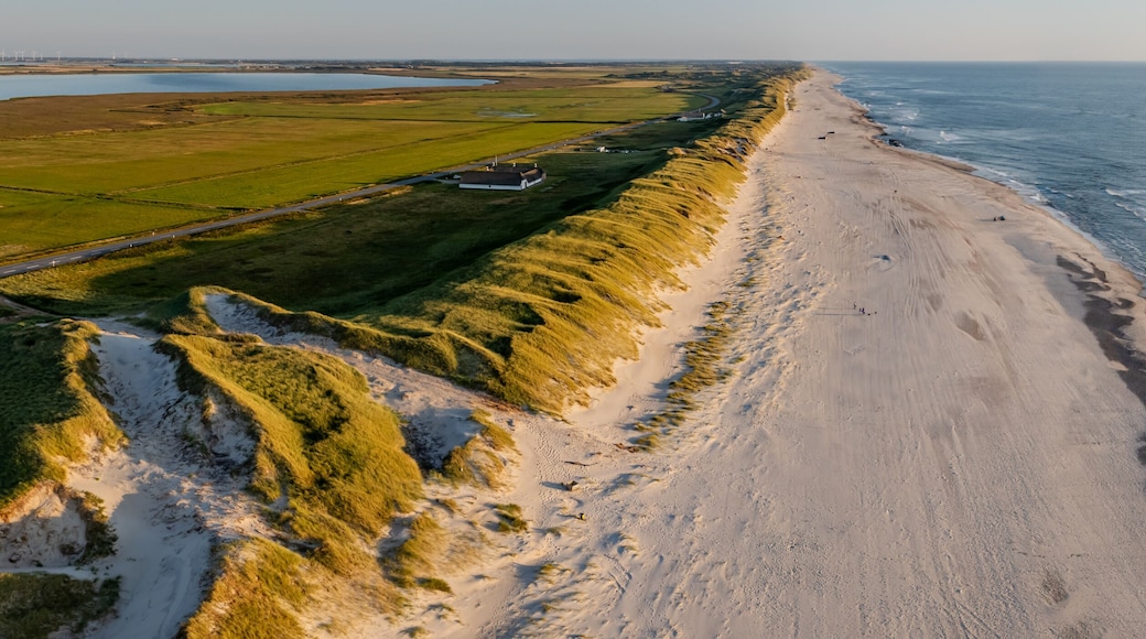 Aerial view of long, untouched coastline with lush green meadows, golden dune and sandy beach meeting sea with gentle waves on one side while tranquil waters of Ringkøbing Fjord stretch on other side