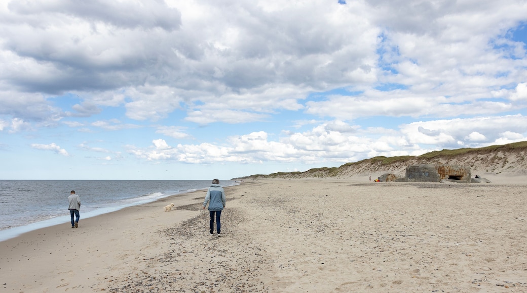 Waking on Sandy beach by Husby town. Populated place, Holstebro, Region Midtjylland, Denmark, Scandinavia, Europe