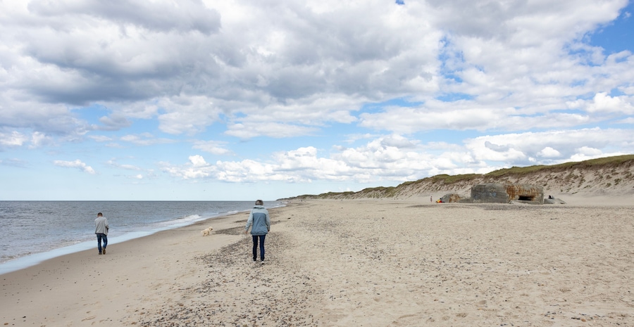 Waking on Sandy beach by Husby town. Populated place, Holstebro, Region Midtjylland, Denmark, Scandinavia, Europe