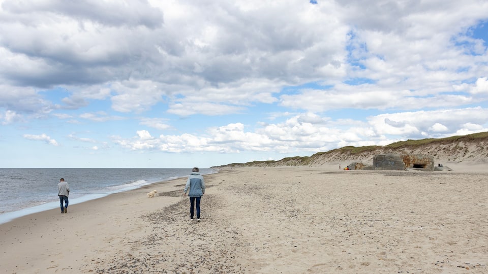 Una playa con una persona caminando, un perro y un promontorio rocoso en la distancia.