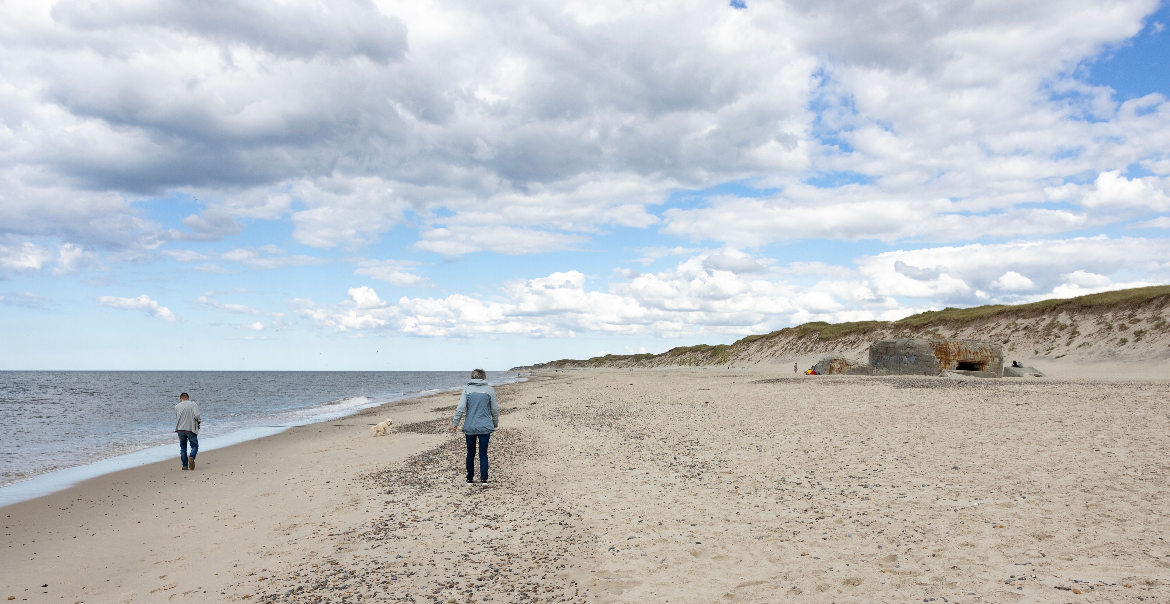 A beach with a person walking, a dog, and a rocky outcrop in the distance.