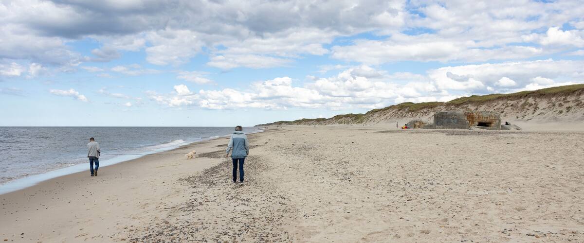 A beach with a person walking, a dog, and a rocky outcrop in the distance.