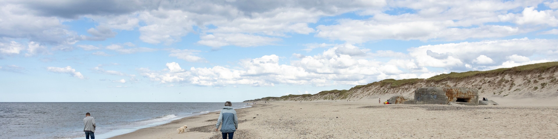 A beach with a person walking, a dog, and a rocky outcrop in the distance.