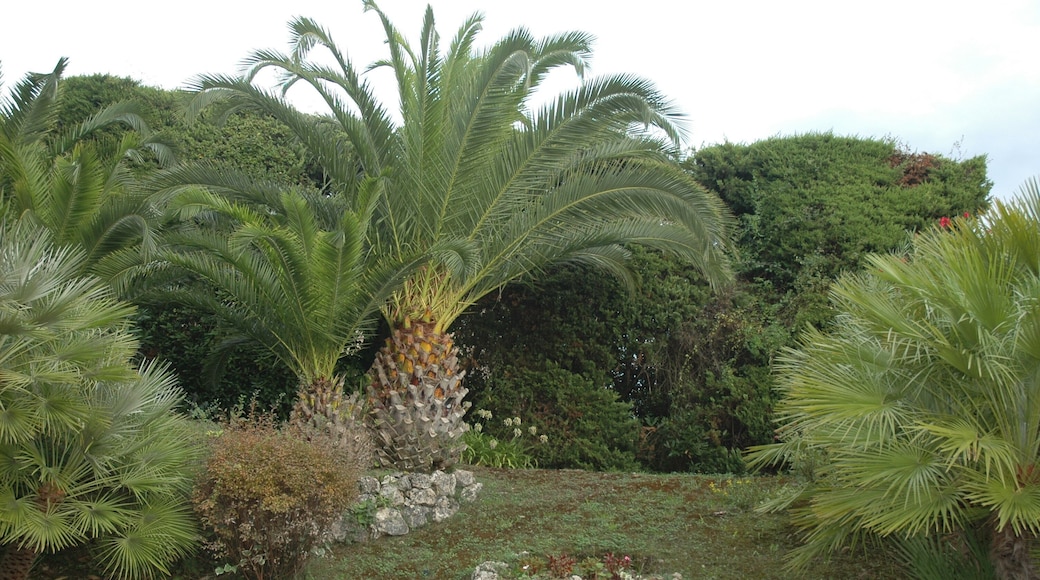 This building is classé au titre des Monuments Historiques. It is indexed in the Base Mérimée, a database of architectural heritage maintained by the French Ministry of Culture, under the reference PA00080700 .