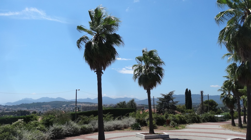 Vistes de Cannes (agost 2013)