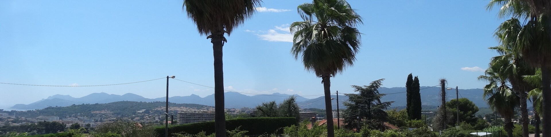 Una plaza pavimentada circular con palmeras, cielo azul despejado y montañas distantes.