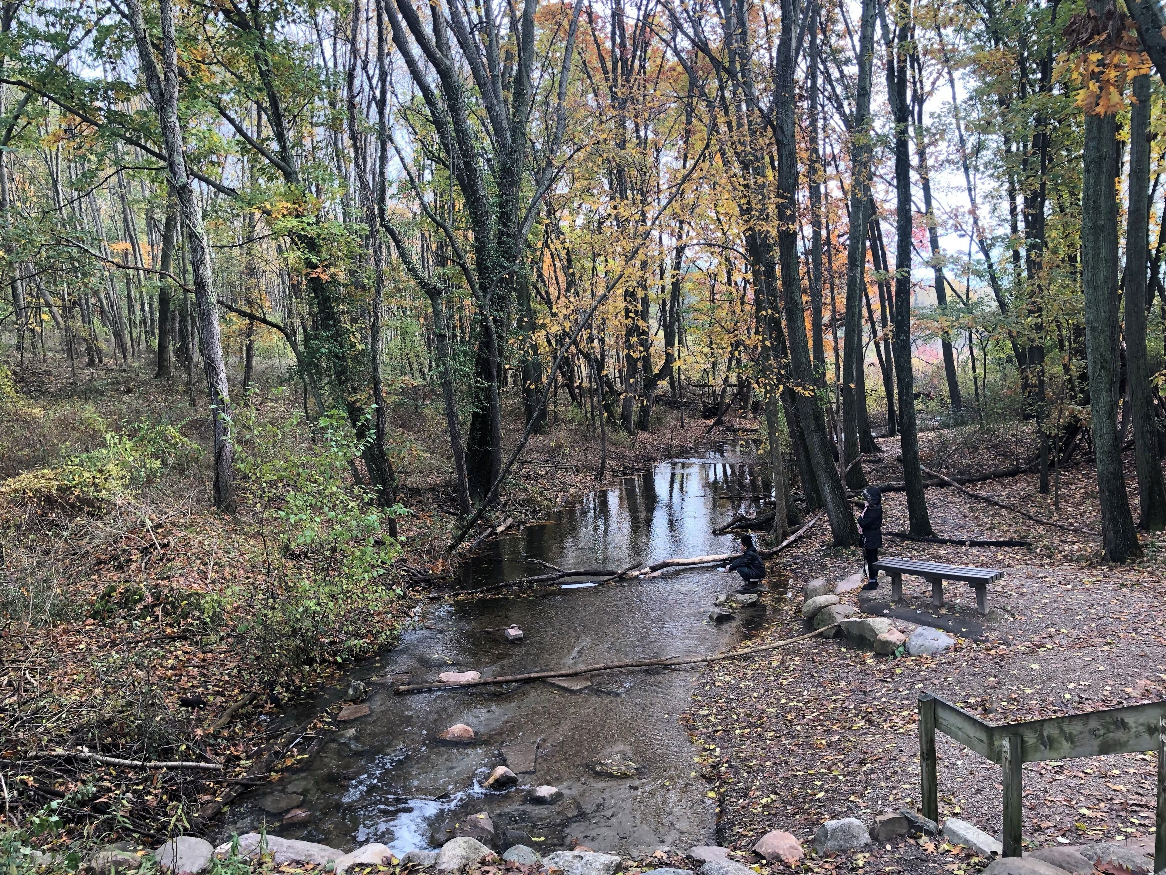 One of the Lake in MI
