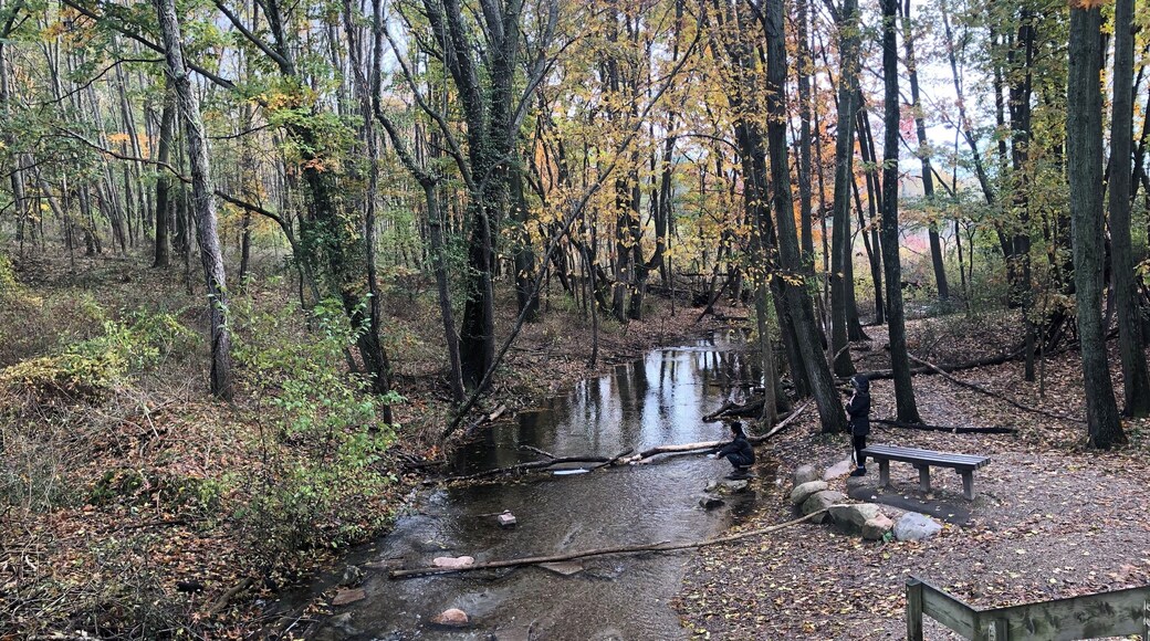 One of the Lake in MI