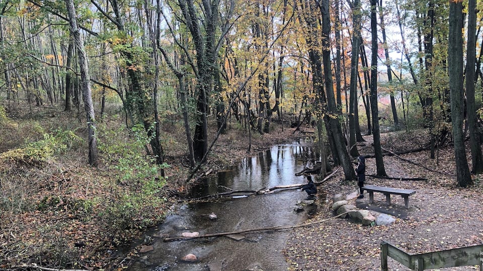 One of the Lake in MI