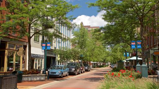 Kalamazoo das einen Kleinstadt oder Dorf und Wildblumen
