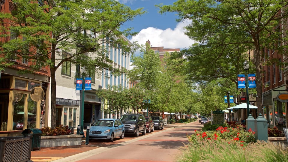 Kalamazoo showing wildflowers and a small town or village