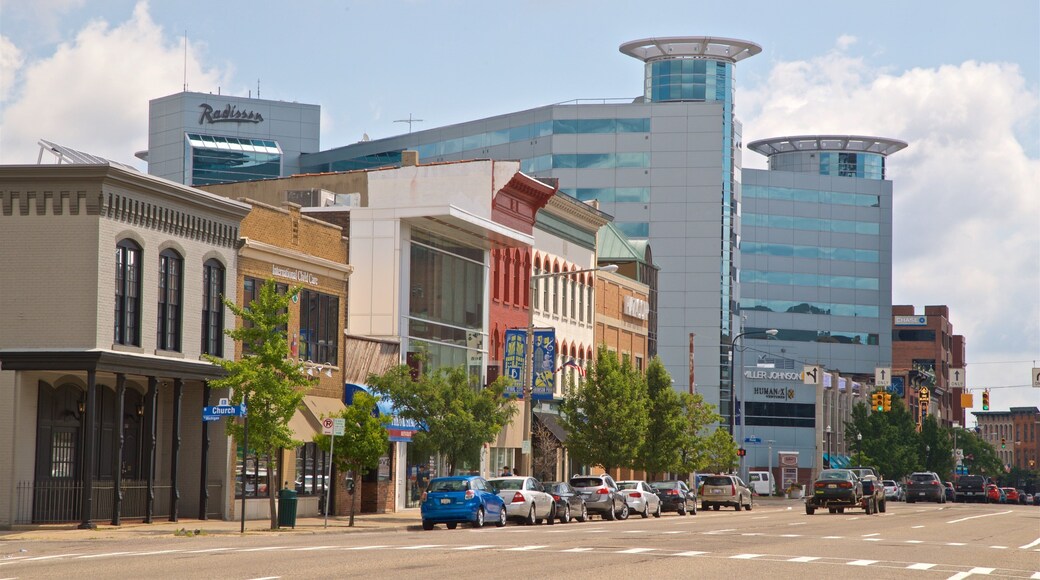 Kalamazoo showing a city
