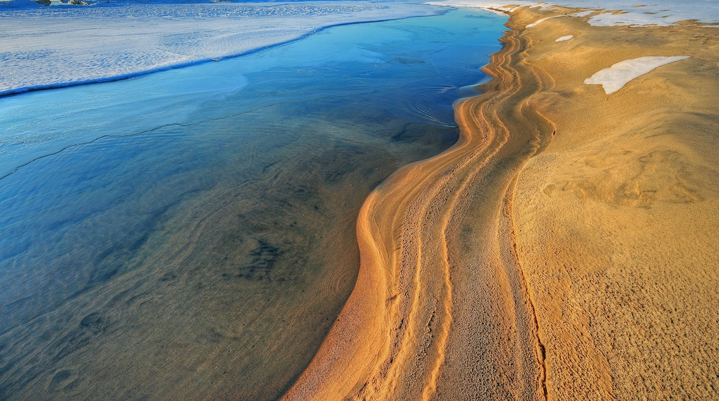 Iced Shoreline Lake Michigan Saugatuck Dunes State Park