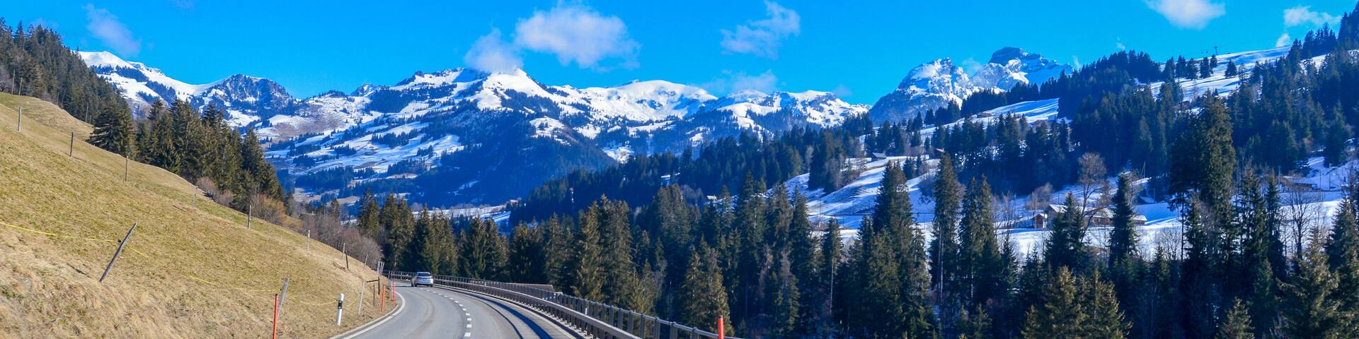 Saanen Hotel Guide