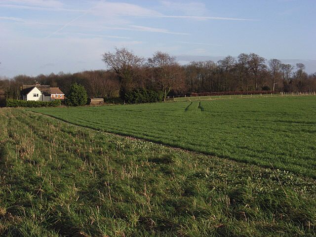 Woods and farmland, Sparsholt Houses on Church Way between Westcot and Sparsholt.