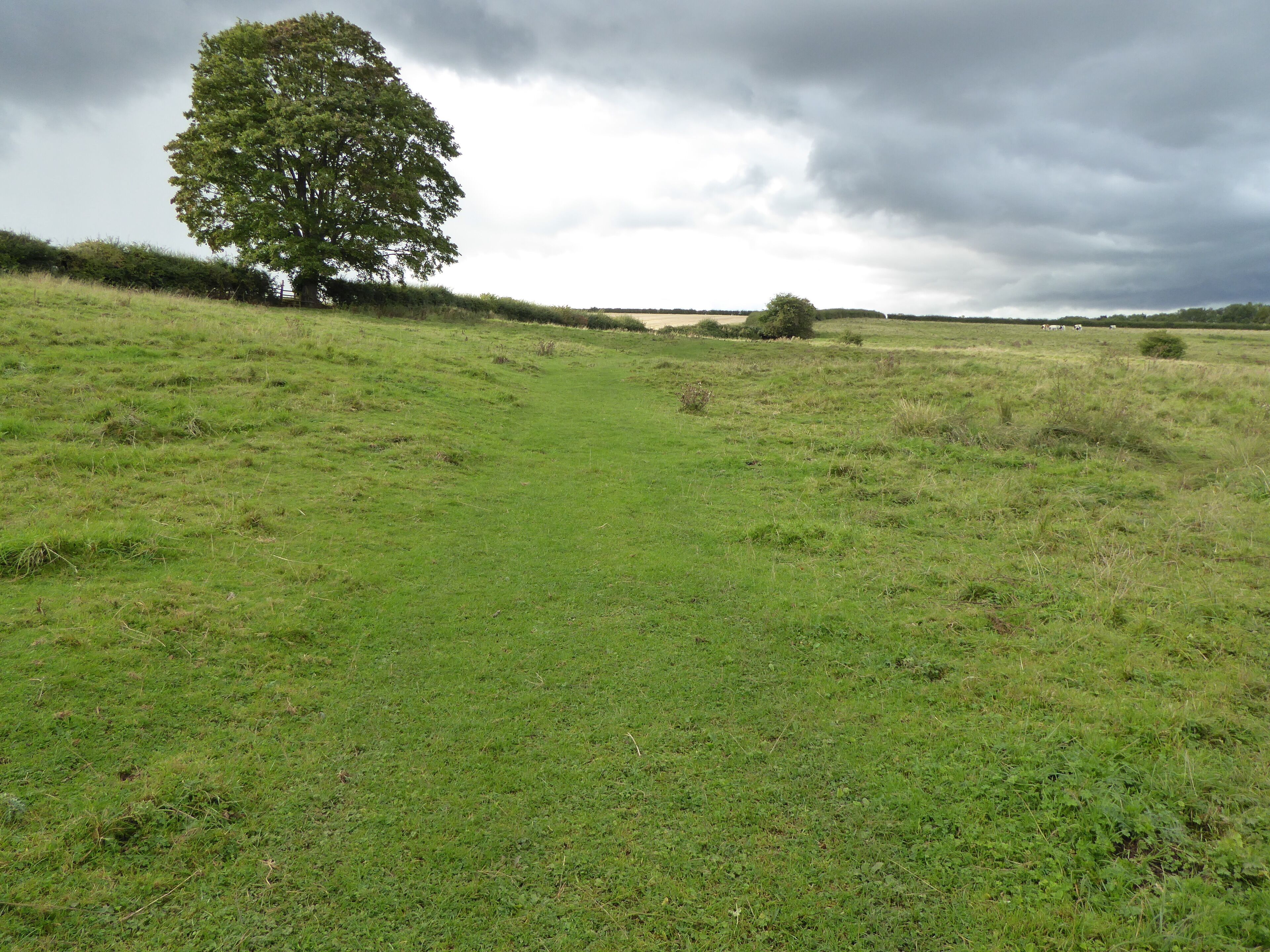 Empingham Marshy Meadows is a biological Site of Special Scientific Interest north of Empingham in Rutland.