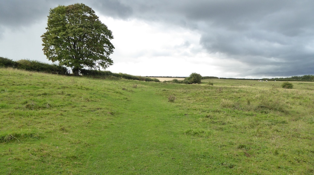 Empingham Marshy Meadows is a biological Site of Special Scientific Interest north of Empingham in Rutland.
