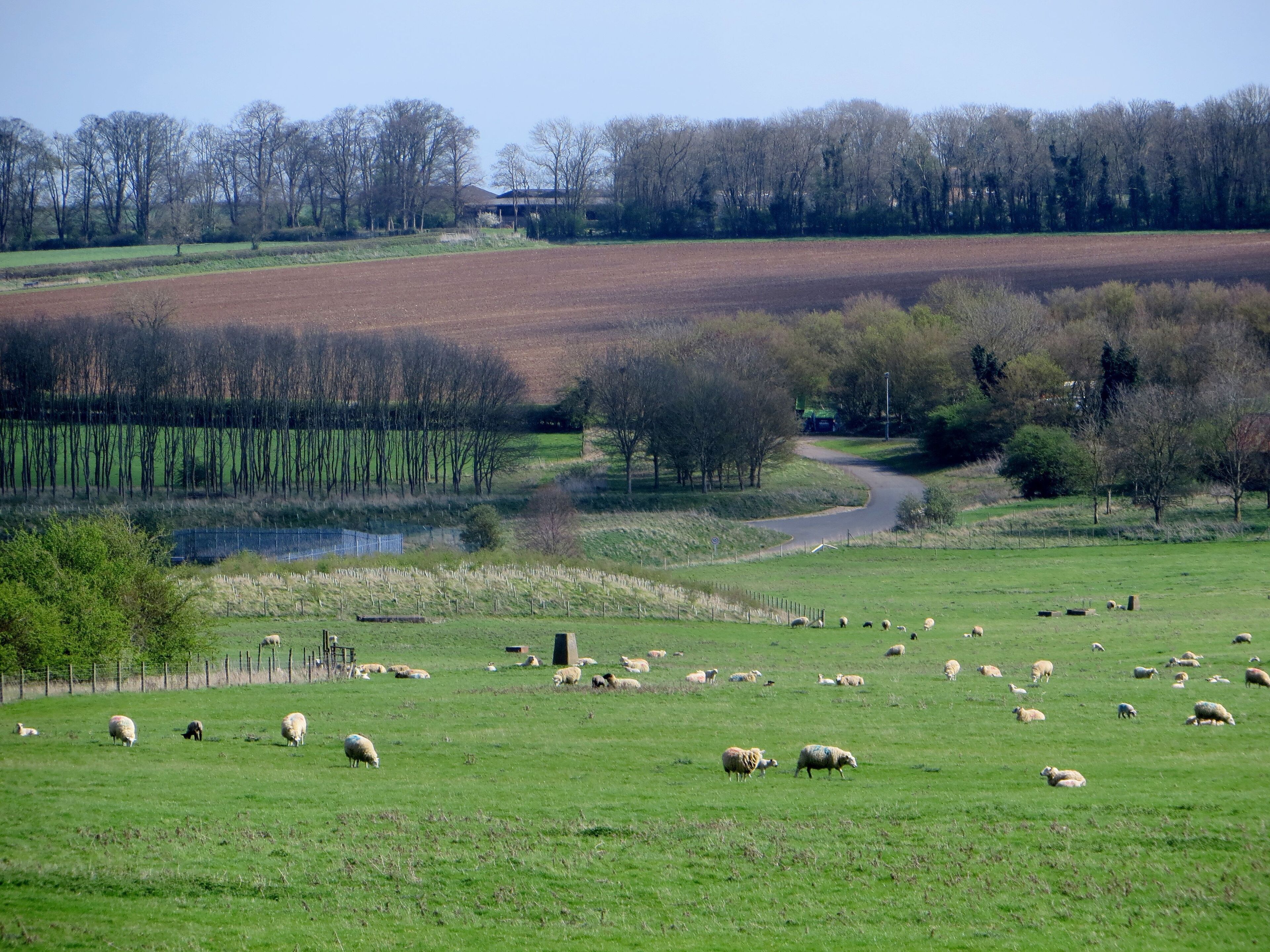 Meadow below the dam - Rutland Water - April 2014