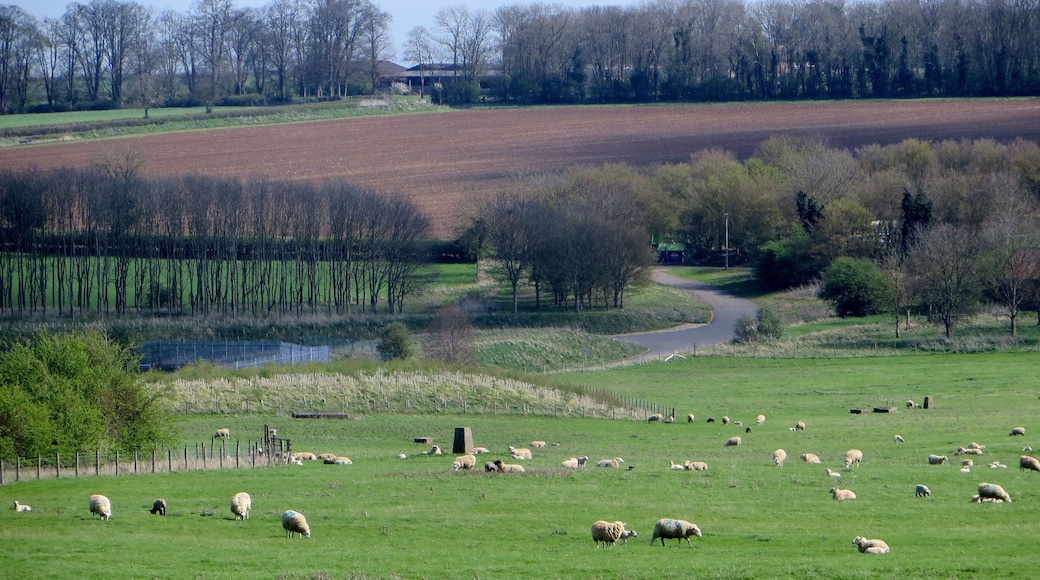 Meadow below the dam - Rutland Water - April 2014