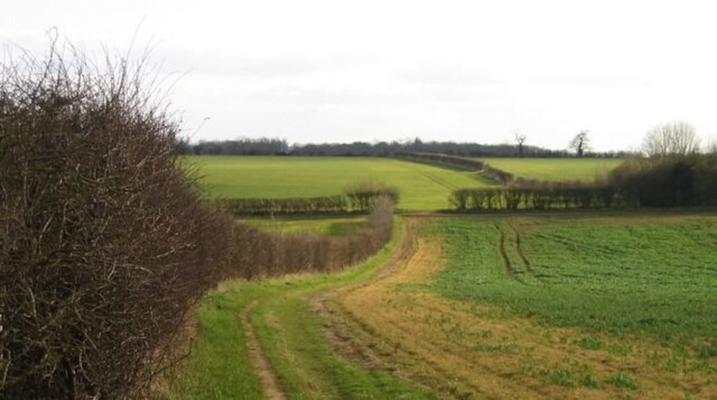 Footpath going south from Greetham to Exton Park