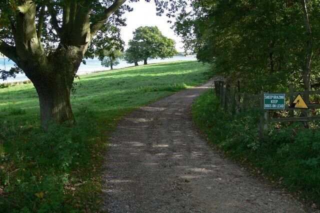 A gravel path leading to a body of water, surrounded by trees and grass.