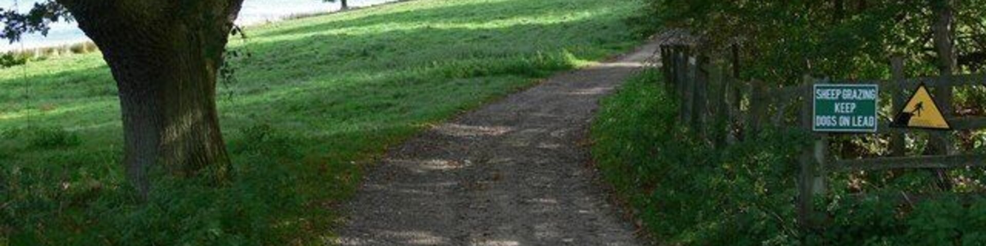 A gravel path leading to a body of water, surrounded by trees and grass.