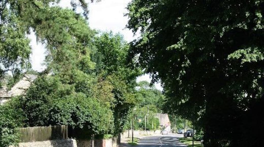 Cottesmore, Rutland. Looking NE along Main Street. Lots of trees in this village which is home to RAF Cottesmore.
