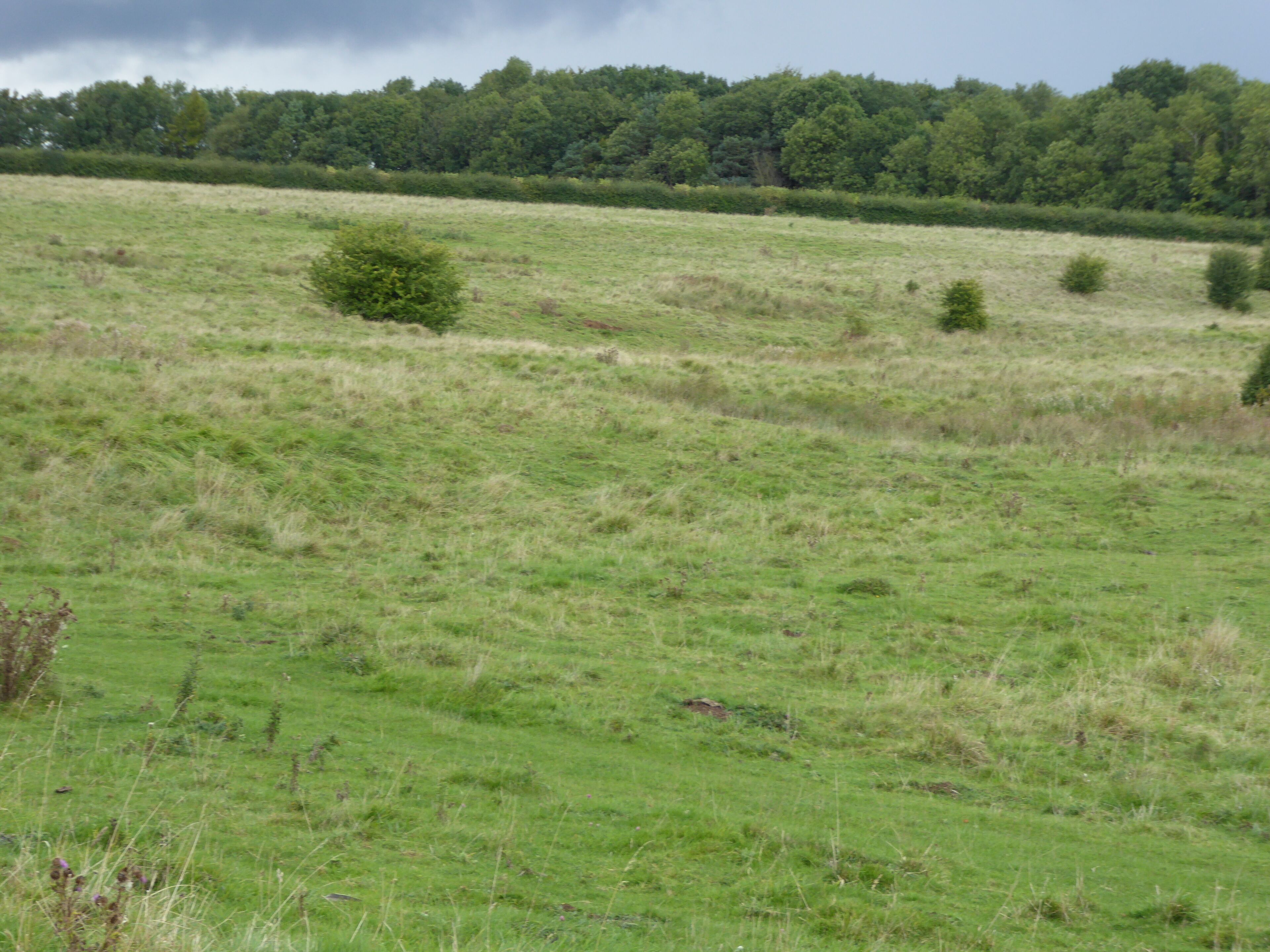 Empingham Marshy Meadows is a biological Site of Special Scientific Interest north of Empingham in Rutland.