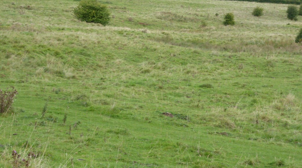 Empingham Marshy Meadows is a biological Site of Special Scientific Interest north of Empingham in Rutland.