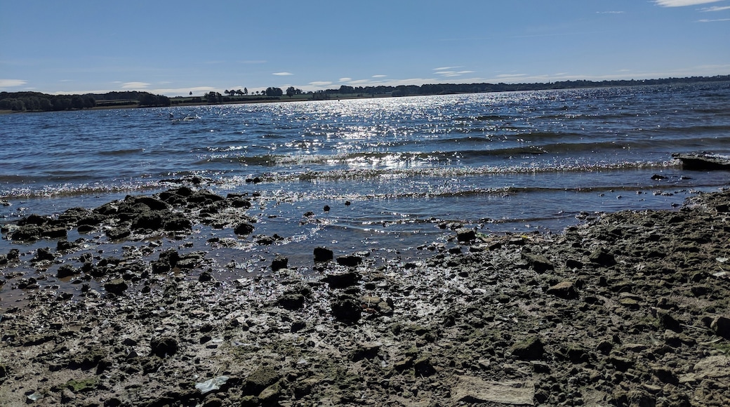 Rutland waters September 18