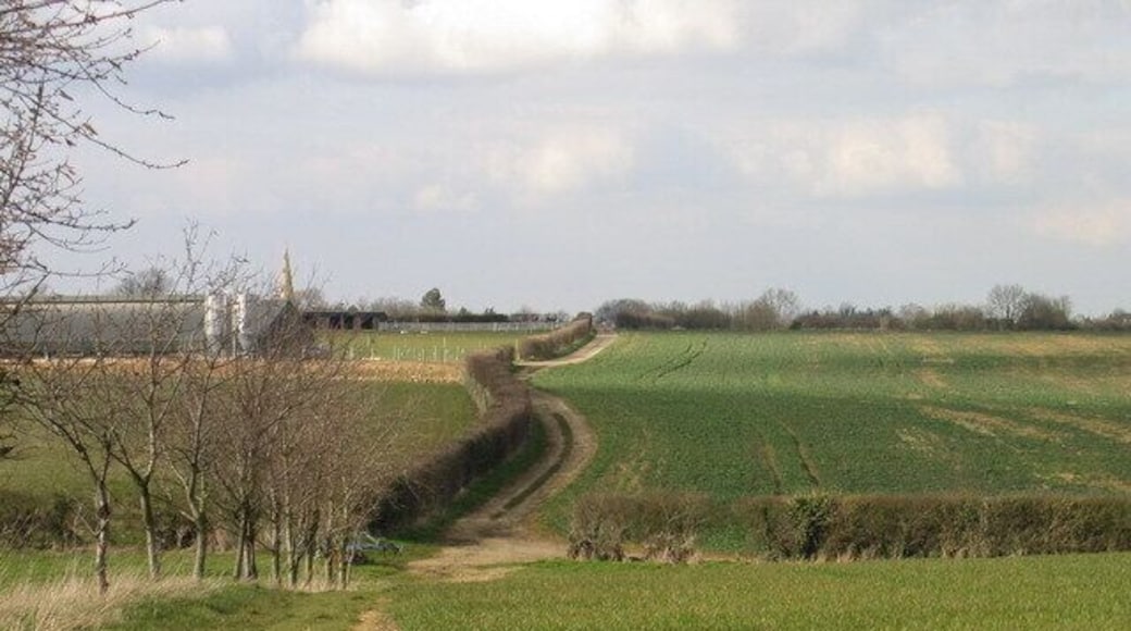 The Viking Way heading to Greetham