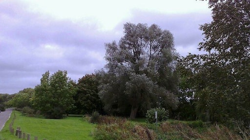 Picnic area at Shipton Bridge The picnic area at Shipton Bridge near Winslow, north Bucks. Part of a disused section of the northbound A413 is to the left.