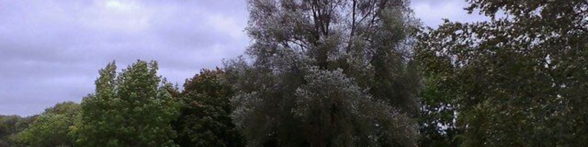 Picnic area at Shipton Bridge The picnic area at Shipton Bridge near Winslow, north Bucks. Part of a disused section of the northbound A413 is to the left.