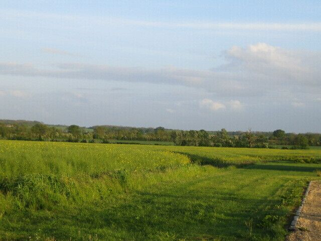 Farmland off West Street, Steeple Claydon. This view looking south-east from the C road west of Steeple Claydon, adjacent to Elm Tree Farm, see 434719, is of flat farmland with hedgerows and trees. The fields are drained by a small stream alongside the second and distant hedgerow, that flows north to Padbury Brook.