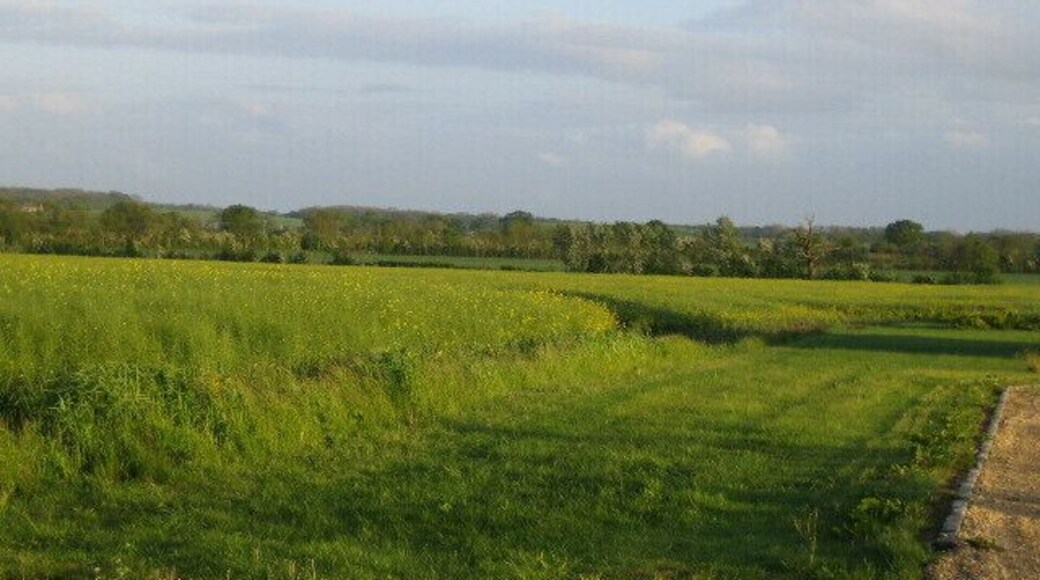 Farmland off West Street, Steeple Claydon. This view looking south-east from the C road west of Steeple Claydon, adjacent to Elm Tree Farm, see 434719, is of flat farmland with hedgerows and trees. The fields are drained by a small stream alongside the second and distant hedgerow, that flows north to Padbury Brook.