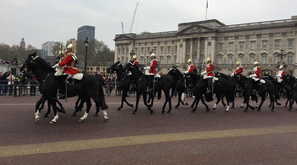 A chance encounter which we were over joyed with.
