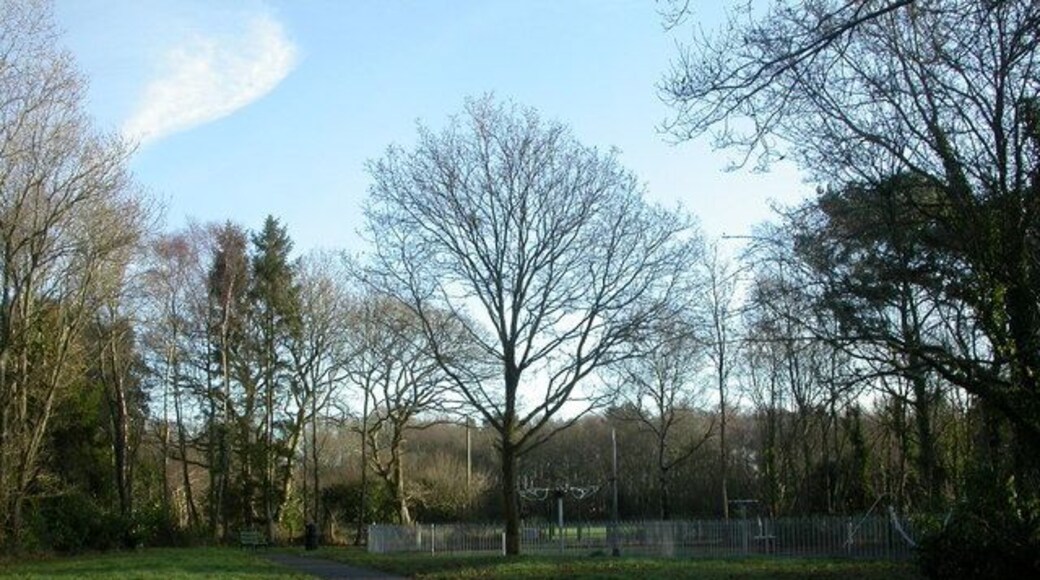 Three Legged Cross, Doorstep Green Project Project to link the recreation ground at the rear with green, patch of woodland and play area on Verwood Road. http://www.verwood.gov.uk/Documents/Verwood%20Vista8.pdf