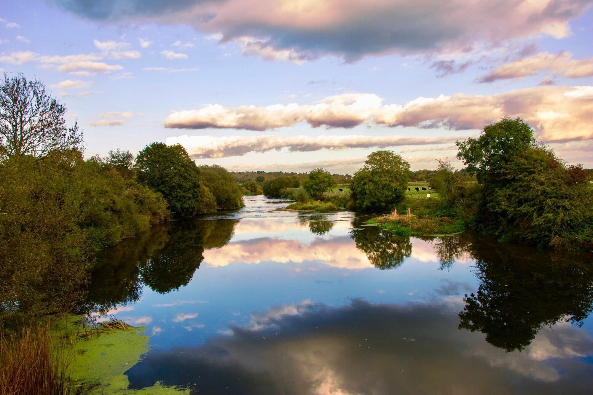 Beautiful spot with wildlife easy to find and good on scene parking.