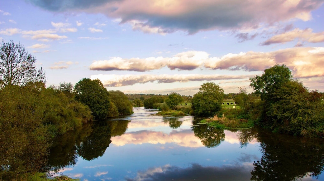 Beautiful spot with wildlife easy to find and good on scene parking.