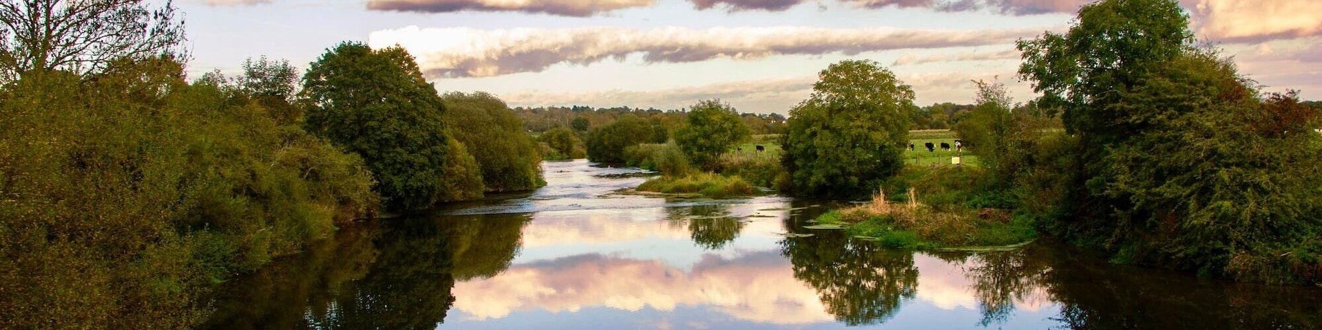 Beautiful spot with wildlife easy to find and good on scene parking.