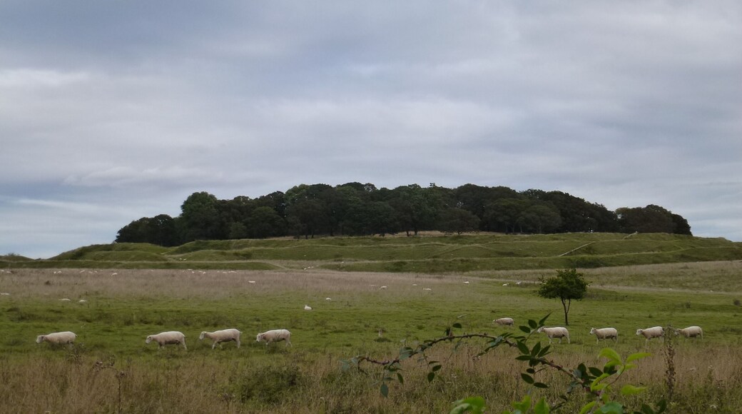 Badbury Rings Wikidata has entry Q17650619 with data related to this monument.