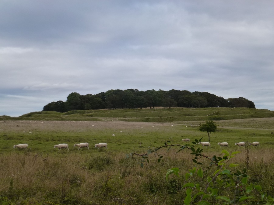 Badbury Rings Wikidata has entry Q17650619 with data related to this monument.
