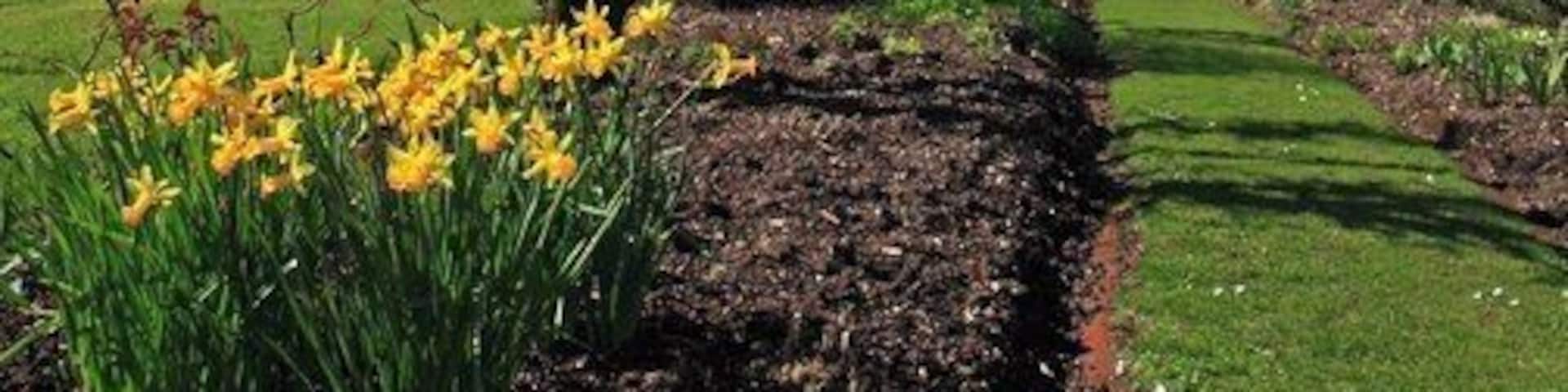 Cranborne Manor from East, near to Cranborne, Dorset, Great Britain. These herbaceous borders in the Summer are a Wow. If you're in the area on a Wednesday I strongly recommend a visit; there is also a walled garden Garden Centre and the cafeteria does good meals & espresso (and other varieties of coffee).