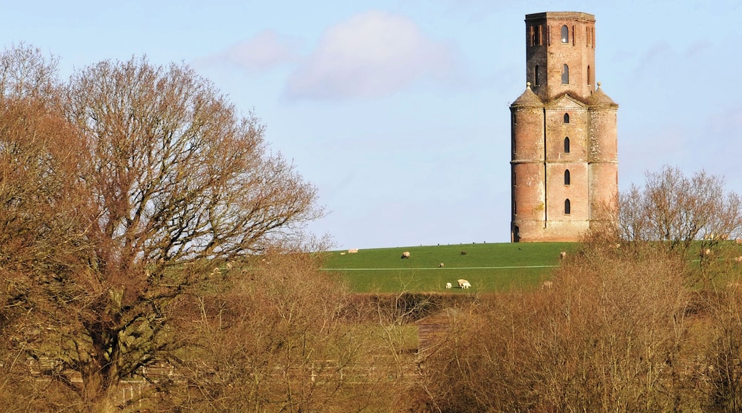 Horton Tower, near to Chalbury Common, Dorset, Great Britain.