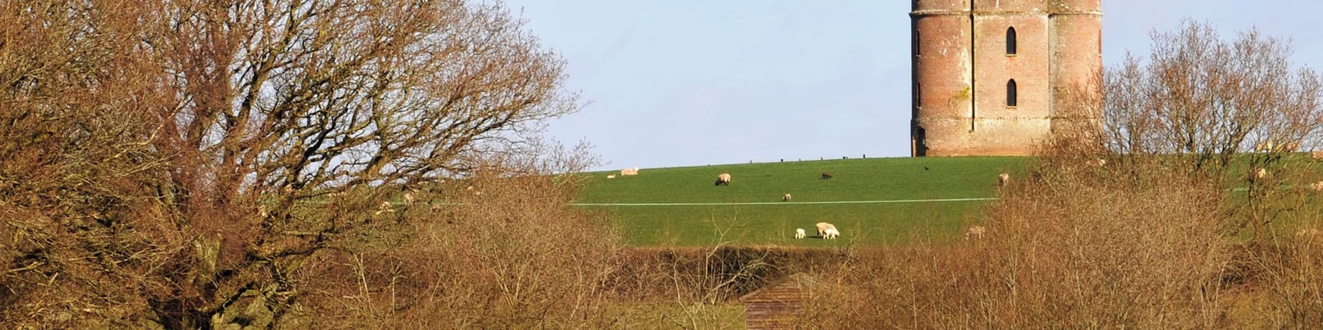 Horton Tower, near to Chalbury Common, Dorset, Great Britain.