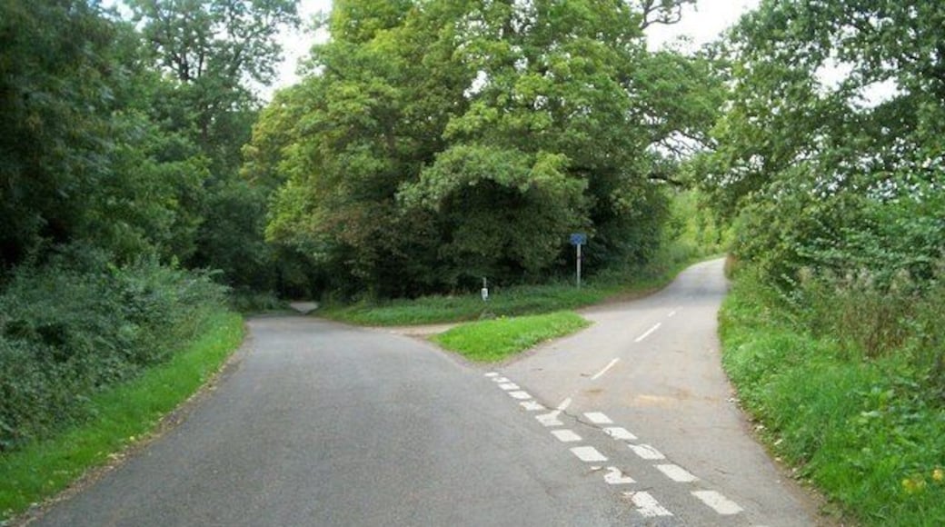Beside Mill Copse. Road junction by Mill Copse.